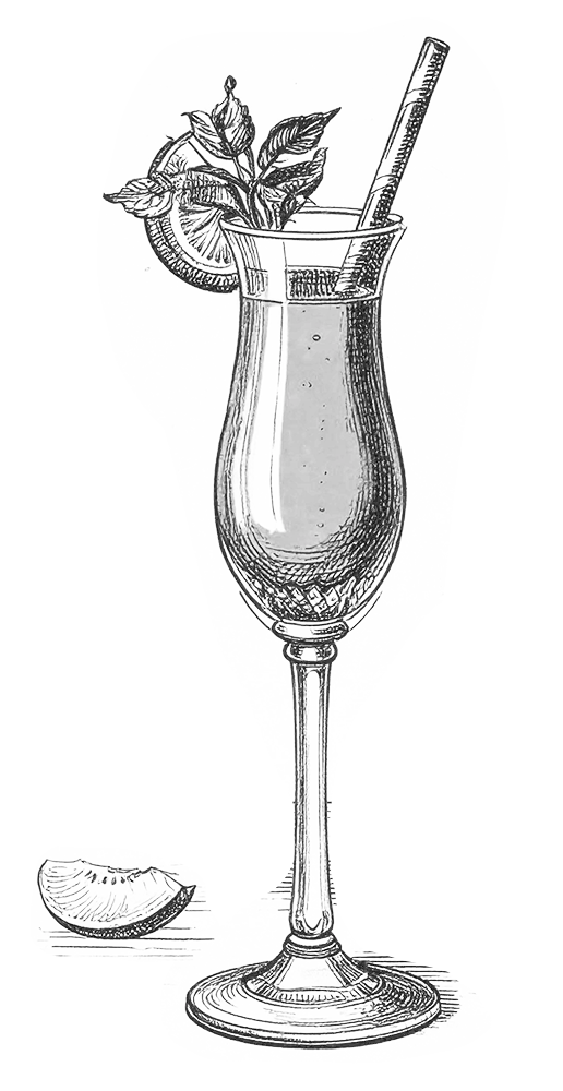 Illustration of a tall cocktail glass with citrus garnish